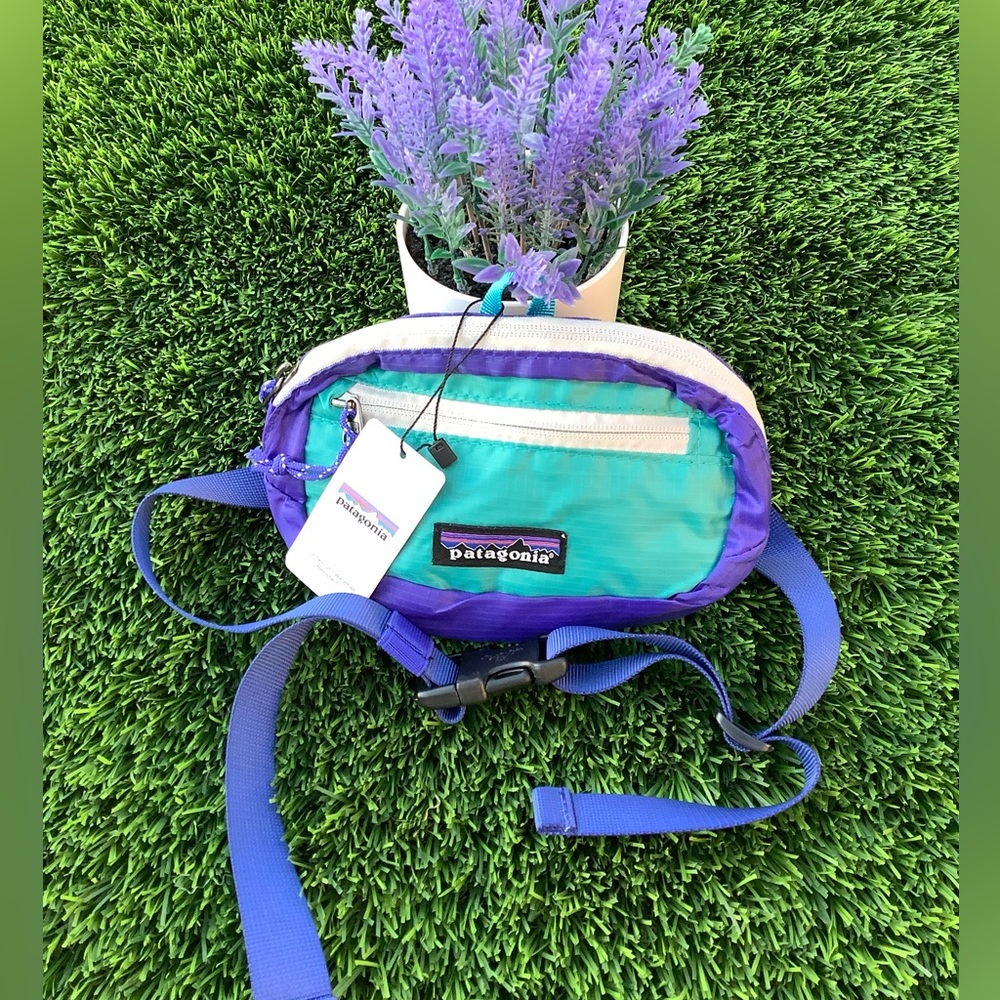 Patagonia Ultralight Mini Hip Pack 1L